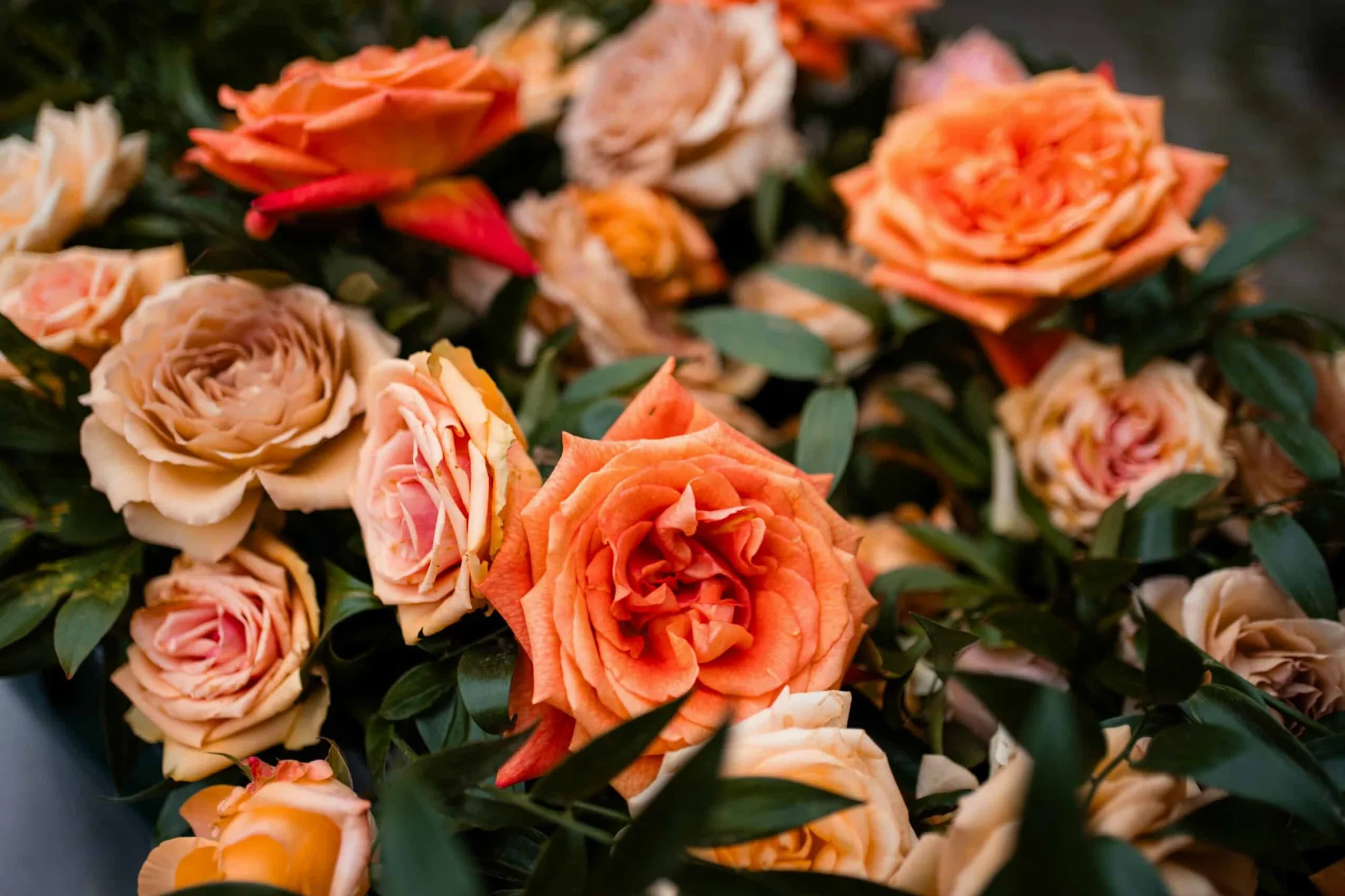 Eine emotionale freie Trauung im Forsthaus Waldhusen und Shooting am wunderschönen Dummersdorfer Ufer