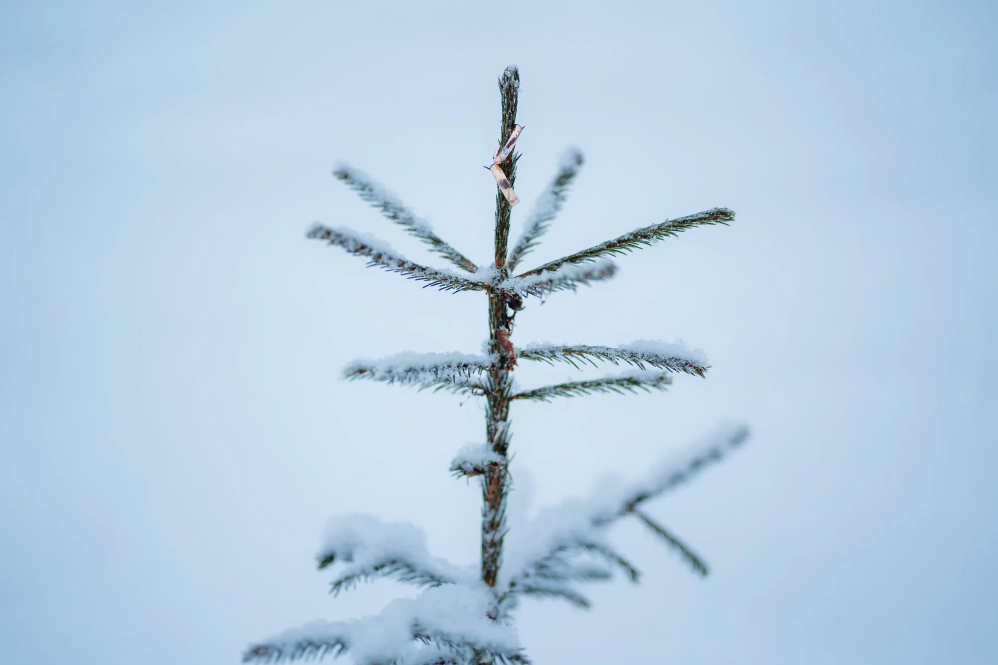Flittern am Polarkreis mit -25°C