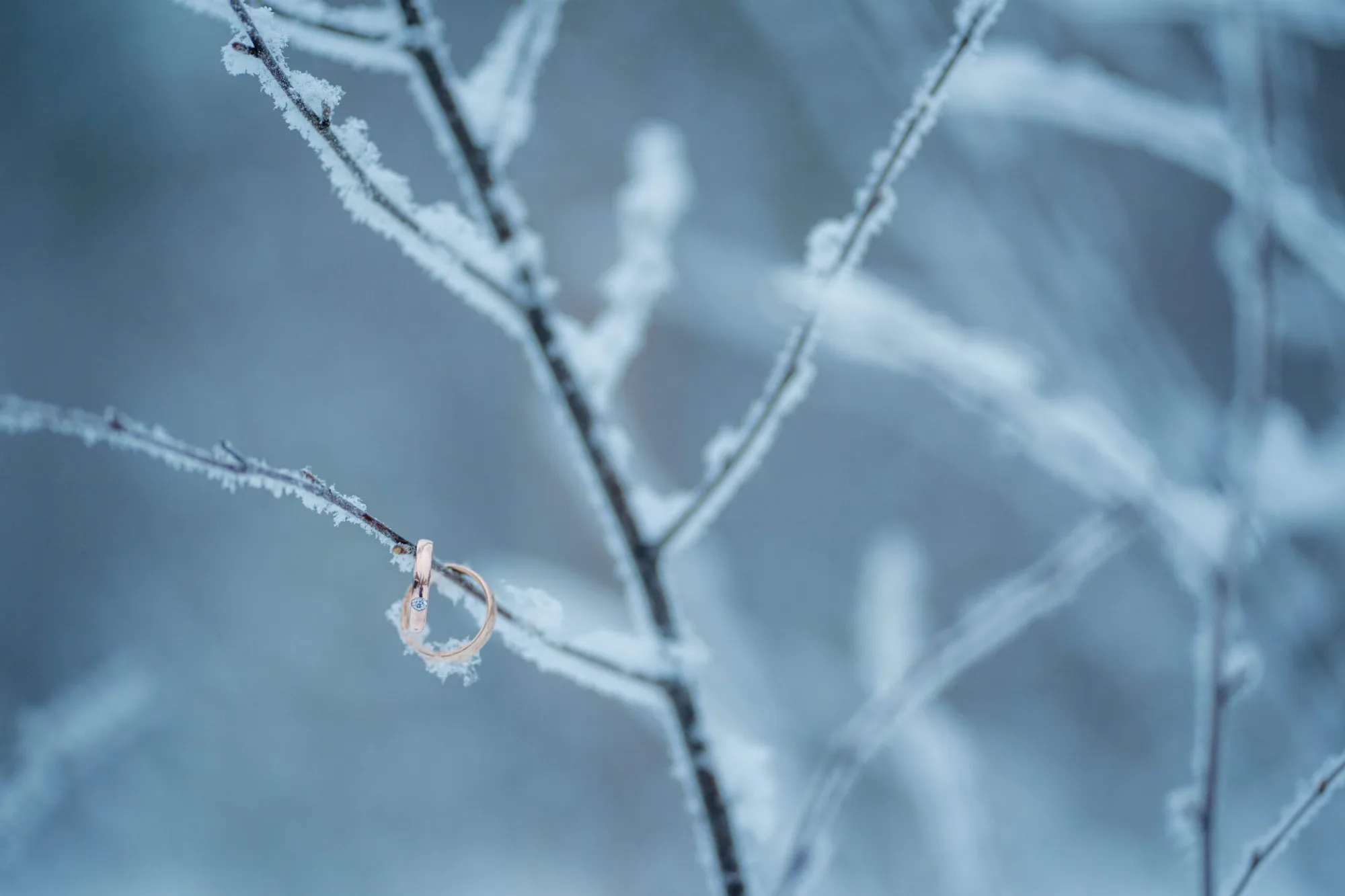 Flittern am Polarkreis mit -25°C