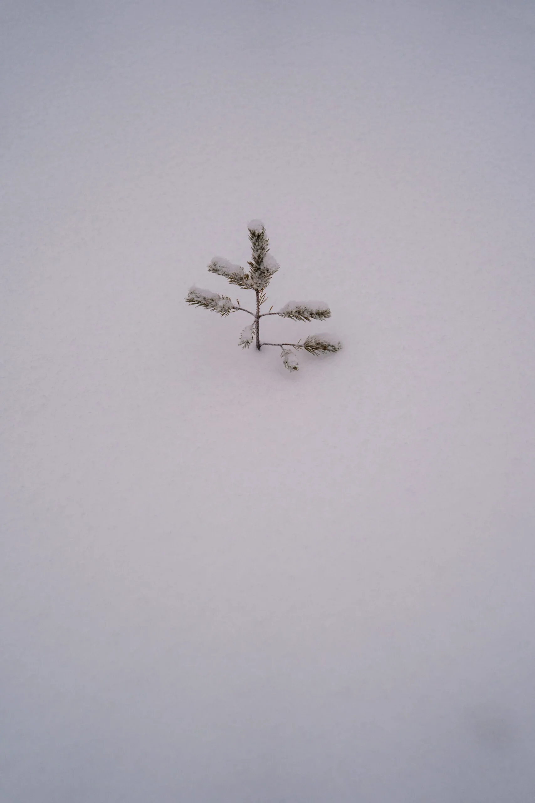 Flittern am Polarkreis mit -25°C